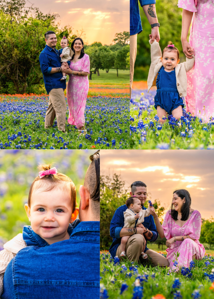 Bluebonnet family photos