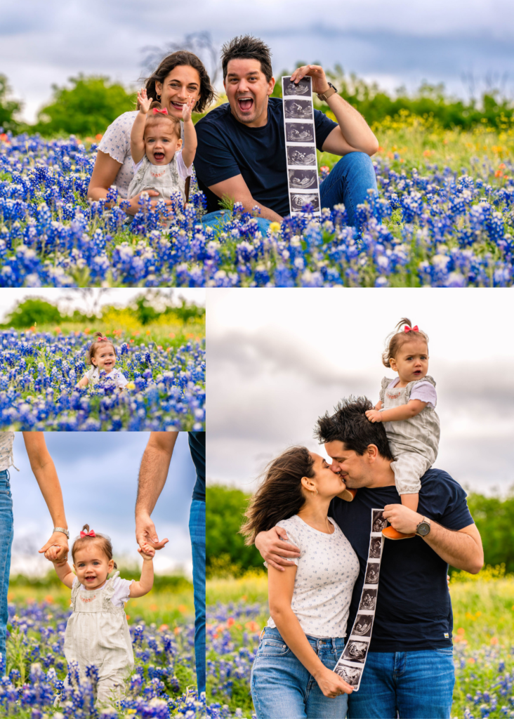 Bluebonnet baby announcement photos