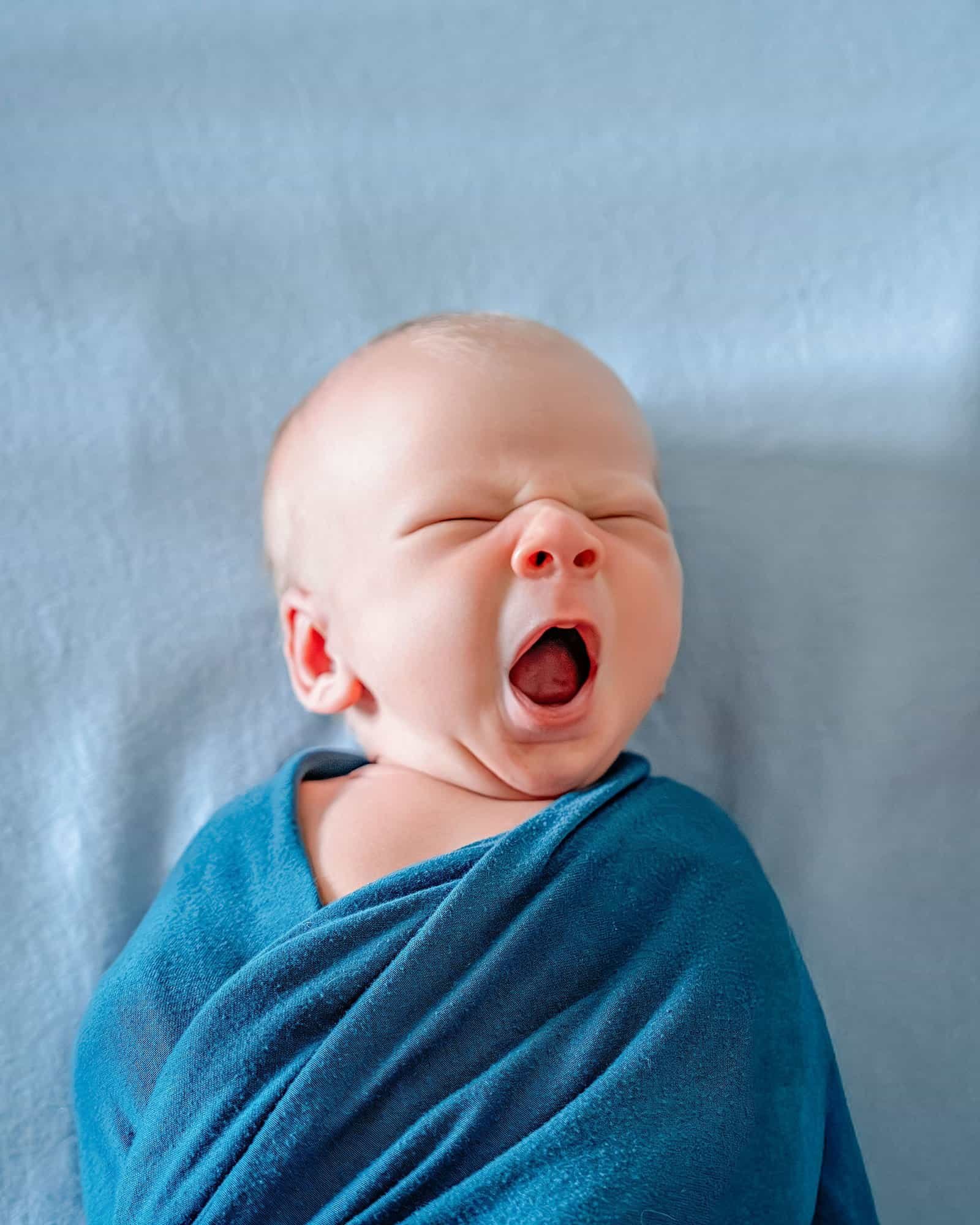 Newton-Newborn-2025-40